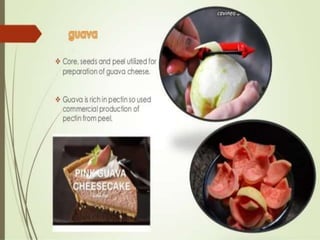 Food processing waste management