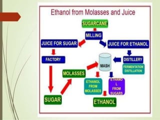 Food processing waste management