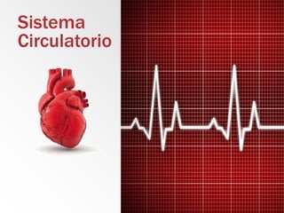 Sistema
Circulatorio
 