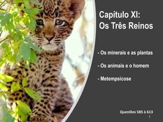 Capítulo XI:
Os Três Reinos
Questões 585 à 613
- Os minerais e as plantas
- Os animais e o homem
- Metempsicose
2
 