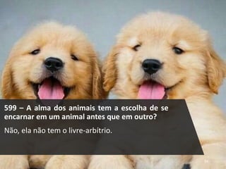 599 – A alma dos animais tem a escolha de se
encarnar em um animal antes que em outro?
Não, ela não tem o livre-arbítrio.
24
 
