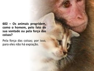 602 – Os animais progridem,
como o homem, pelo fato de
sua vontade ou pela força das
coisas?
Pela força das coisas; por isso,
para eles não há expiação.
27
 
