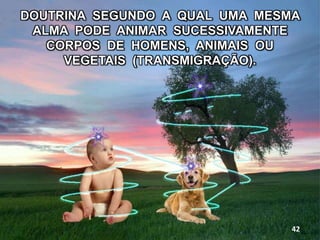 DOUTRINA SEGUNDO A QUAL UMA MESMA
ALMA PODE ANIMAR SUCESSIVAMENTE
CORPOS DE HOMENS, ANIMAIS OU
VEGETAIS (TRANSMIGRAÇÃO).
42
 
