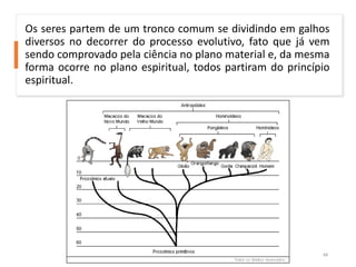 Os seres partem de um tronco comum se dividindo em galhos
diversos no decorrer do processo evolutivo, fato que já vem
sendo comprovado pela ciência no plano material e, da mesma
forma ocorre no plano espiritual, todos partiram do princípio
espiritual.
44
 