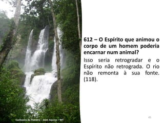 612 – O Espírito que animou o
corpo de um homem poderia
encarnar num animal?
Isso seria retrogradar e o
Espírito não retrograda. O rio
não remonta à sua fonte.
(118).
Cachoeira do Potreiro – Dom Aquino – MT
45
 