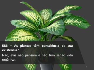 586 – As plantas têm consciência de sua
existência?
Não, elas não pensam e não têm senão vida
orgânica.
6
 