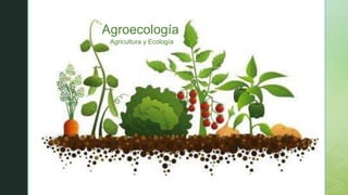 z
Agroecología
Agricultura y Ecología
 