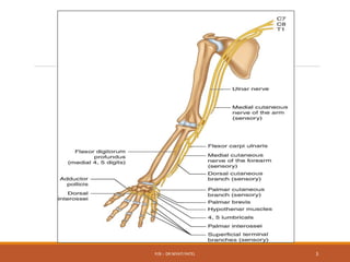 P/B :- DR NIYATI PATEL 3
 