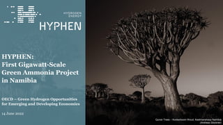 Quiver Trees – Konkerboom Woud, Keetmanshoop Namibia
(Andreas Glockner)
HYPHEN:
First Gigawatt-Scale
Green Ammonia Project
in Namibia
OECD – Green Hydrogen Opportunities
for Emerging and Developing Economies
14 June 2022
 