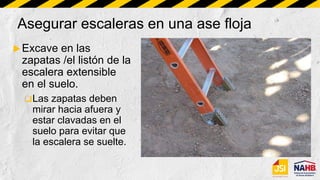 Asegurar escaleras en una ase floja
Excave en las
zapatas /el listón de la
escalera extensible
en el suelo.
Las zapatas deben
mirar hacia afuera y
estar clavadas en el
suelo para evitar que
la escalera se suelte.
 