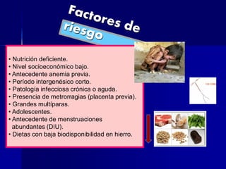 • Nutrición deficiente.
• Nivel socioeconómico bajo.
• Antecedente anemia previa.
• Período intergenésico corto.
• Patología infecciosa crónica o aguda.
• Presencia de metrorragias (placenta previa).
• Grandes multíparas.
• Adolescentes.
• Antecedente de menstruaciones
abundantes (DIU).
• Dietas con baja biodisponibilidad en hierro.
 