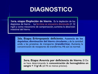 1era. etapa: Depleción de hierro. Es la depleción de los
depósitos de hierro . La ferritina se encuentra disminuida (< 12
mg/l) y como mecanismo de compensación, aumenta la absorción
intestinal del hierro.
2da. Etapa: Eritropoyesis deficiente. Ausencia de los
depósitos, disminución del hierro circulante y de la cantidad
unida a las proteínas de transporte (transferrina). Aumenta la
concentración de receptores de transferrina. Hb aún es normal.
3era. Etapa: Anemia por deficiencia de hierro. El Dx
se hace determinando la concentración de hemoglobina en
sangre < 11g/ dl. (el Ht es menos preciso).
DIAGNOSTICO
 
