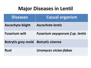 Major Diseases in Lentil
Diseases Casual organism
Ascochyta blight Ascochvta lentis
Fusarium wilt Fusarium oxysporum f.sp. lentis
Botrytis grey mold Botrytis cinerea
Rust Uromyces viciae-fabae
 