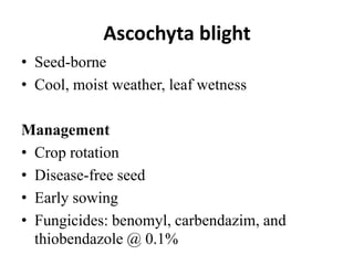 Ascochyta blight
• Seed-borne
• Cool, moist weather, leaf wetness
Management
• Crop rotation
• Disease-free seed
• Early sowing
• Fungicides: benomyl, carbendazim, and
thiobendazole @ 0.1%
 