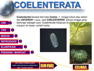 CIRI
Coelenterata berasal dari kata Coelos = rongga tubuh atau selom
dan ENTERON = usus. Jadi COELENTERON artinya rongga yang
berfungsi sebagai usus. Coelenterata hidupnya di perairan laut
maupun air tawar, contoh hydra.
KLASIFIKASI
TIPE
PERANAN / MANFAAT
MAKAN
REPRODUKSI
MULTIMEDIA PEMBELAJARAN
MAPEL BIOLOGI KELAS X SEMESTER II
SMA 1 TALANG PADANG
 