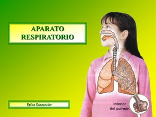 APARATO
RESPIRATORIO
Erika Santander
 