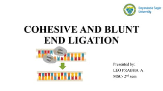 COHESIVE AND BLUNT
END LIGATION
Presented by:
LEO PRABHA A
MSC- 2nd sem
 