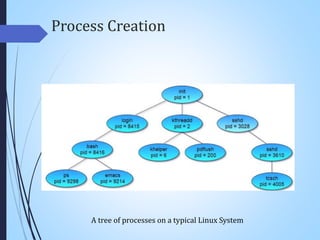 Process Creation
A tree of processes on a typical Linux System
 