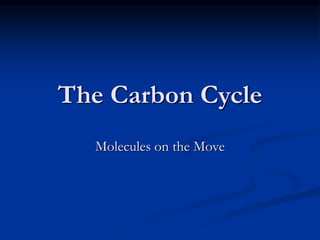The Carbon Cycle
Molecules on the Move
 