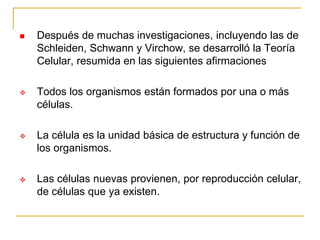  Después de muchas investigaciones, incluyendo las de
Schleiden, Schwann y Virchow, se desarrolló la Teoría
Celular, resumida en las siguientes afirmaciones
 Todos los organismos están formados por una o más
células.
 La célula es la unidad básica de estructura y función de
los organismos.
 Las células nuevas provienen, por reproducción celular,
de células que ya existen.
 