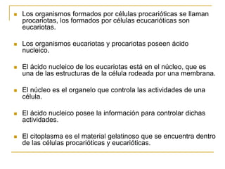  Los organismos formados por células procarióticas se llaman
procariotas, los formados por células ecucarióticas son
eucariotas.
 Los organismos eucariotas y procariotas poseen ácido
nucleico.
 El ácido nucleico de los eucariotas está en el núcleo, que es
una de las estructuras de la célula rodeada por una membrana.
 El núcleo es el organelo que controla las actividades de una
célula.
 El ácido nucleico posee la información para controlar dichas
actividades.
 El citoplasma es el material gelatinoso que se encuentra dentro
de las células procarióticas y eucarióticas.
 