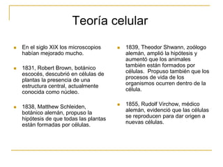 Teoría celular
 En el siglo XIX los microscopios
habían mejorado mucho.
 1831, Robert Brown, botánico
escocés, descubrió en células de
plantas la presencia de una
estructura central, actualmente
conocida como núcleo.
 1838, Matthew Schleiden,
botánico alemán, propuso la
hipótesis de que todas las plantas
están formadas por células.
 1839, Theodor Shwann, zoólogo
alemán, amplió la hipótesis y
aumentó que los animales
también están formados por
células. Propuso también que los
procesos de vida de los
organismos ocurren dentro de la
célula.
 1855, Rudolf Virchow, médico
alemán, evidenció que las células
se reproducen para dar origen a
nuevas células.
 