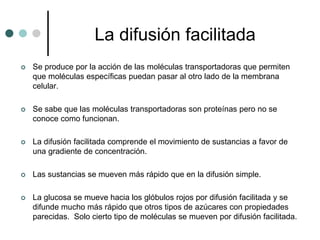 La difusión facilitada
 Se produce por la acción de las moléculas transportadoras que permiten
que moléculas específicas puedan pasar al otro lado de la membrana
celular.
 Se sabe que las moléculas transportadoras son proteínas pero no se
conoce como funcionan.
 La difusión facilitada comprende el movimiento de sustancias a favor de
una gradiente de concentración.
 Las sustancias se mueven más rápido que en la difusión simple.
 La glucosa se mueve hacia los glóbulos rojos por difusión facilitada y se
difunde mucho más rápido que otros tipos de azúcares con propiedades
parecidas. Solo cierto tipo de moléculas se mueven por difusión facilitada.
 