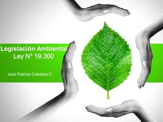 Legislación Ambiental
Ley N° 19.300
José Patricio Ceballos C.
 