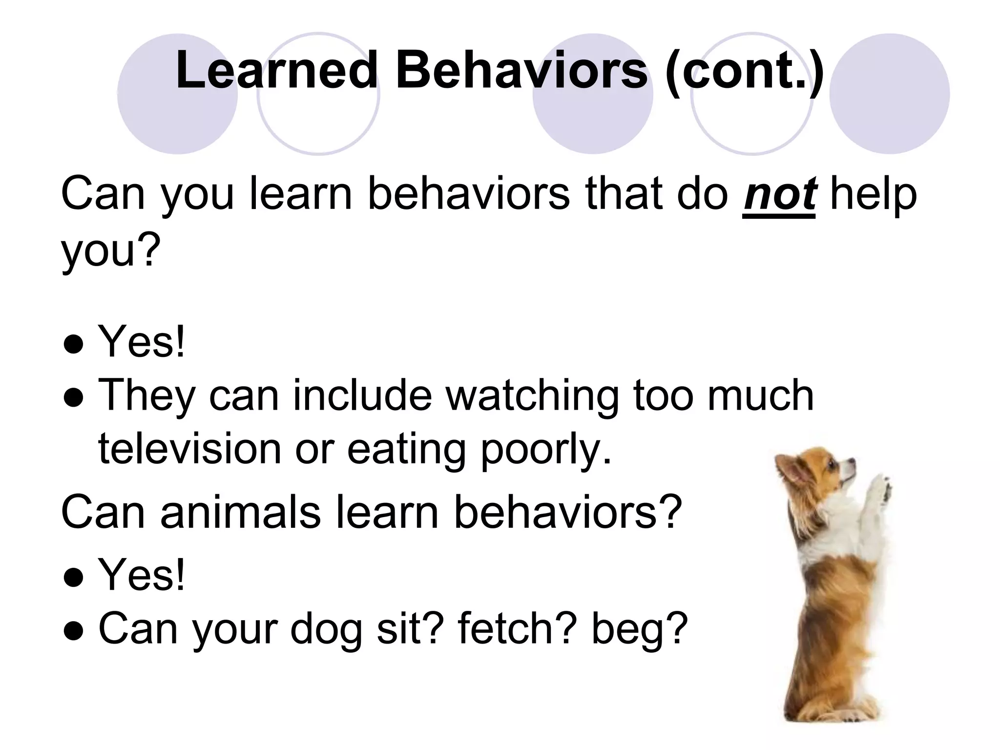 Learned Behaviors (cont.)
Can you learn behaviors that do not help
you?
● Yes!
● They can include watching too much
television or eating poorly.
Can animals learn behaviors?
● Yes!
● Can your dog sit? fetch? beg?
 