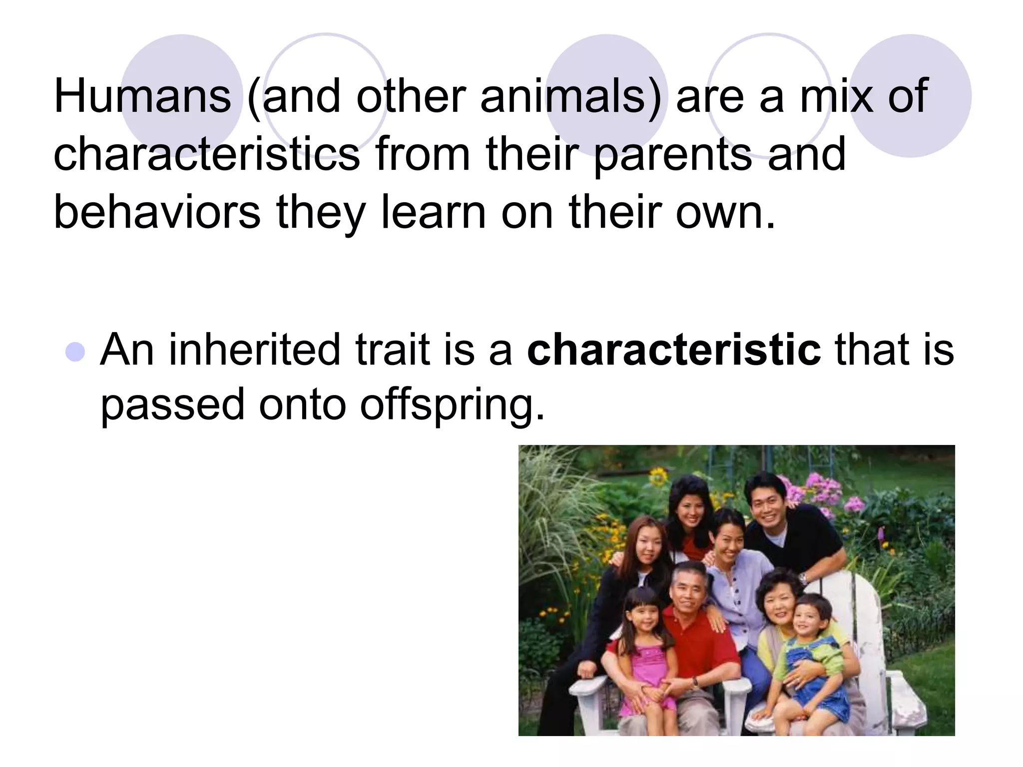 Humans (and other animals) are a mix of
characteristics from their parents and
behaviors they learn on their own.
● An inherited trait is a characteristic that is
passed onto offspring.
 