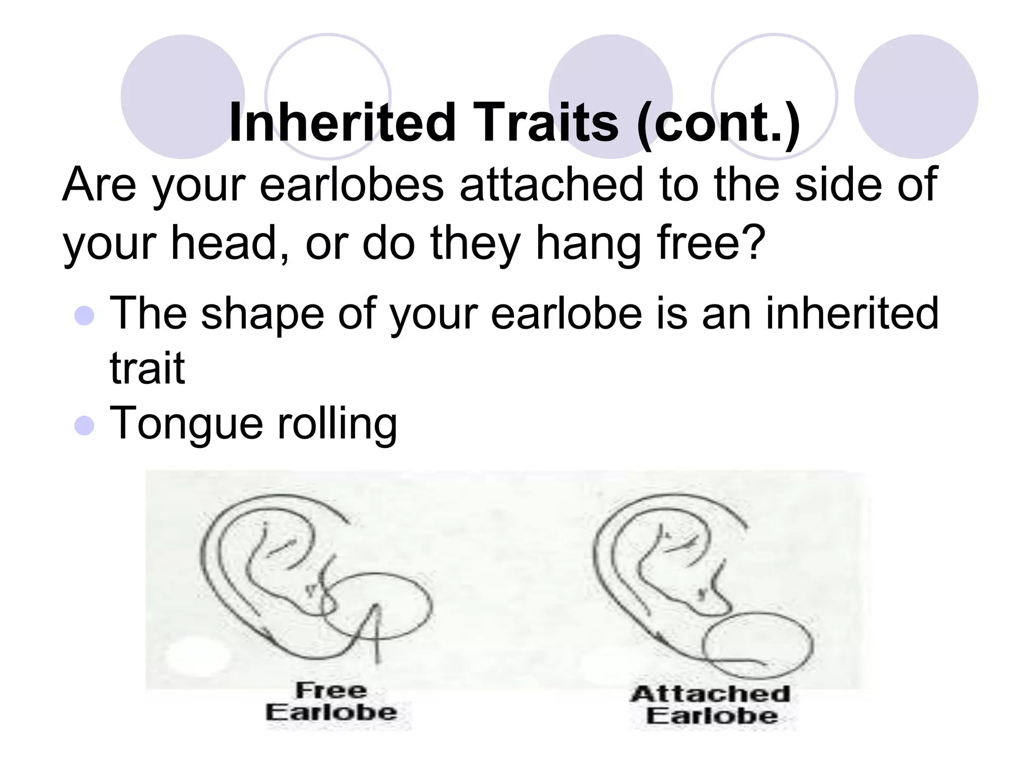 Inherited Traits (cont.)
Are your earlobes attached to the side of
your head, or do they hang free?
● The shape of your earlobe is an inherited
trait
● Tongue rolling
 