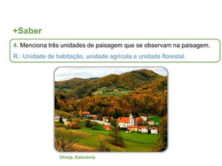 +Saber
Olimje, Eslovénia
4. Menciona três unidades de paisagem que se observam na paisagem.
R.: Unidade de habitação, unidade agrícola e unidade florestal.
 