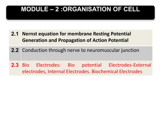 MODULE – 2 :ORGANISATION OF CELL
2.1 Nernst equation for membrane Resting Potential
Generation and Propagation of Action Potential
2.2 Conduction through nerve to neuromuscular junction
2.3 Bio Electrodes: Bio potential Electrodes-External
electrodes, Internal Electrodes. Biochemical Electrodes
 