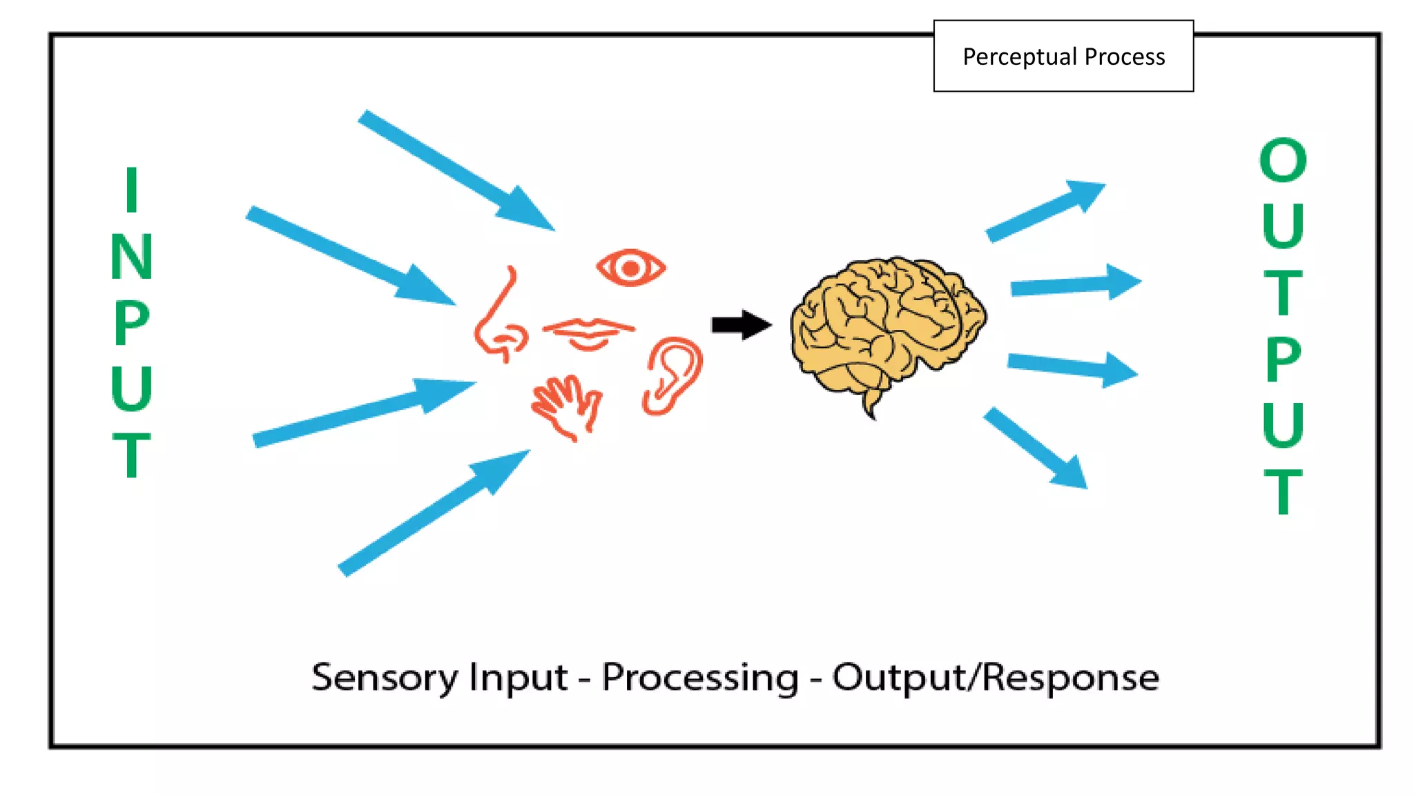 Perceptual Process
 