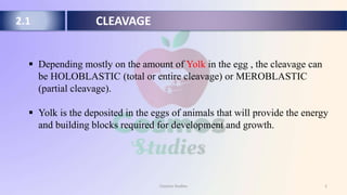 CLEAVAGE | PPTX