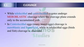 CLEAVAGE | PPTX