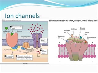 Ion channels
 