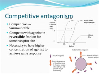 Competitive antagonism
 Competitive ---
Surmountable
 Competes with agonist in
reversible fashion for
same receptor site
 Necessary to have higher
concentration of agonist to
achieve same response
 