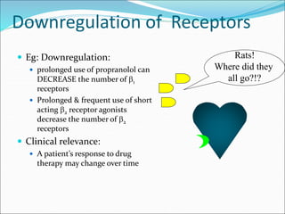 Downregulation of Receptors
 Eg: Downregulation:
 prolonged use of propranolol can
DECREASE the number of 1
receptors
 Prolonged & frequent use of short
acting 2 receptor agonists
decrease the number of 2
receptors
 Clinical relevance:
 A patient’s response to drug
therapy may change over time
Rats!
Where did they
all go?!?
 