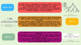 2.4.2 Clasificación de árboles.pdf