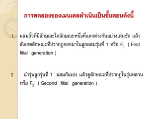 การทดลองของเมนเดลดาเนินเป็นขั้นตอนดังนี้
1. ผสมถั่วที่มีลักษณะใดลักษณะหนึ่งที่แตกต่างกันอย่างเด่นชัด แล้ว
สังเกตลักษณะที่ปรากฏออกมาในลูกผสมรุ่นที่ 1 หรือ F1 ( First
filial generation )
2. นารุ่นลูกรุ่นที่ 1 ผสมกันเอง แล้วดูลักษณะที่ปรากฏในรุ่นหลาน
หรือ F2 ( Second filial generation )
 