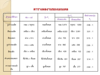 ตารางผลงานของเมนเดล
ลักษณะที่ศึกษา พ่อ × แม่ รุ่น F1
รุ่น F2
ลักษณะเด่น ลักษณะด้อย
สัดส่วนของรุ่น
F2
รูปร่างเมล็ด กลม × ขรุขระ กลมทั้งหมด กลม 5,474 ขรุขระ 1,850 2.96 : 1
สีของเมล็ด เหลือง × เขียว เหลืองทั้งหมด เหลือง 6,022 เขียว 2,001 3.01 : 1
สีของดอก ม่วง × ขาว ม่วงทั้งหมด ม่วง 705 ขาว 224 3.15 : 1
รูปร่างของฝัก อวบ × แฟบ อวบทั้งหมด อวบ 882 แฟบ 299 2.95 : 1
สีของฝัก เขียว × เหลือง เขียวทั้งหมด เขียว 428 เหลือง 152 2.82 : 1
ตาแหน่งของดอก ที่ลาต้น × ที่ยอด ที่ลาต้นทั้งหมด ที่ลาต้น 651 ที่ยอด 207 3.14 : 1
ความยาวของลา
ต้น
สูง × เตี้ย สูงทั้งหมด สูง 787 เตี้ย 277 2.84 : 1
 