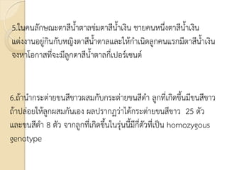 5.ในคนลักษณะตาสีน้าตาลข่มตาสีน้าเงิน ชายคนหนึ่งตาสีน้าเงิน
แต่งงานอยู่กินกับหญิงตาสีน้าตาลและให้กาเนิดลูกคนแรกมีตาสีน้าเงิน
จงหาโอกาสที่จะมีลูกตาสีน้าตาลกี่เปอร์เซนต์
6.ถ้านากระต่ายขนสีขาวผสมกับกระต่ายขนสีดา ลูกที่เกิดขึ้นมีขนสีขาว
ถ้าปล่อยให้ลูกผสมกันเอง ผลปรากฏว่าได้กระต่ายขนสีขาว 25 ตัว
และขนสีดา 8 ตัว จากลูกที่เกิดขึ้นในรุ่นนี้มีกี่ตัวที่เป็น homozygous
genotype
 