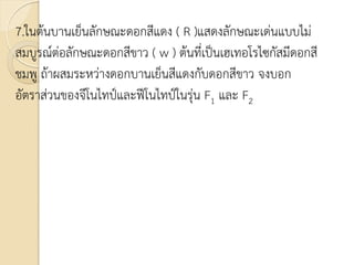 7.ในต้นบานเย็นลักษณะดอกสีแดง ( R )แสดงลักษณะเด่นแบบไม่
สมบูรณ์ต่อลักษณะดอกสีขาว ( w ) ต้นที่เป็นเฮเทอโรไซกัสมีดอกสี
ชมพู ถ้าผสมระหว่างดอกบานเย็นสีแดงกับดอกสีขาว จงบอก
อัตราส่วนของจีโนไทป์และฟีโนไทป์ในรุ่น F1 และ F2
 