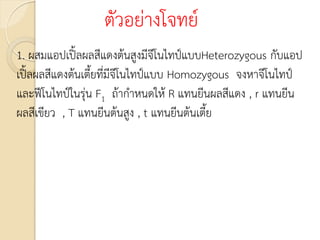 ตัวอย่างโจทย์
1. ผสมแอปเปิ้ลผลสีแดงต้นสูงมีจีโนไทป์แบบHeterozygous กับแอป
เปิ้ลผลสีแดงต้นเตี้ยที่มีจีโนไทป์แบบ Homozygous จงหาจีโนไทป์
และฟีโนไทป์ในรุ่น F1 ถ้ากาหนดให้ R แทนยีนผลสีแดง , r แทนยีน
ผลสีเขียว , T แทนยีนต้นสูง , t แทนยีนต้นเตี้ย
 