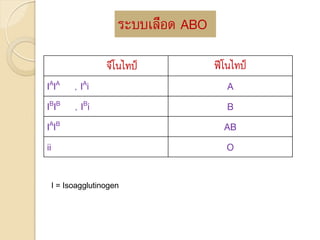 ระบบเลือด ABO
จีโนไทป์ ฟีโนไทป์
IAIA , IAi A
IBIB , IBi B
IAIB AB
ii O
I = Isoagglutinogen
 