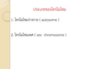 ประเภทของโครโมโซม
1. โครโมโซมร่างกาย ( autosome )
2. โครโมโซมเพศ ( sex chromosome )
 