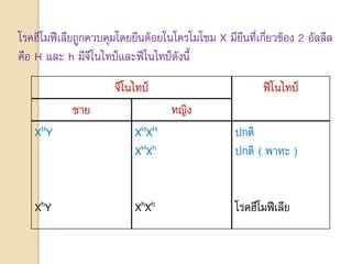 โรคฮีโมฟีเลียถูกควบคุมโดยยีนด้อยในโครโมโซม X มียีนที่เกี่ยวข้อง 2 อัลลีล
คือ H และ h มีจีโนไทป์และฟีโนไทป์ดังนี้
จีโนไทป์ ฟีโนไทป์
ชาย หญิง
XHY
XhY
XHXH
XHXh
XhXh
ปกติ
ปกติ ( พาหะ )
โรคฮีโมฟีเลีย
 