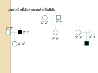 บุคคลใดบ้างที่เป็นพาหะของโรคฮีโมฟีเลีย
XH Xh XH Y
Xh Y
XH Y
XH Xh
XH XH
XH XH
XH Xh
 