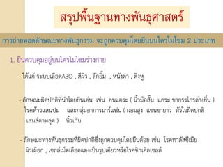 สรุปพื้นฐานทางพันธุศาสตร์
การถ่ายทอดลักษณะทางพันธุกรรม จะถูกควบคุมโดยยีนบนโครโมโซม 2 ประเภท
1. ยีนควบคุมอยู่บนโครโมโซมร่างกาย
- ได้แก่ ระบบเลือดABO , สีผิว , ลักยิ้ม , หนังตา , ติ่งหู
- ลักษณะผิดปกติที่นาโดยยีนเด่น เช่น คนแคระ ( นิ้วมือสั้น แคระ ขากรรไกรล่างยื่น )
โรคท้าวแสนปม และกลุ่มอาการมาร์แฟน ( ผอมสูง แขนขายาว หัวใจผิดปกติ
เลนส์ตาหลุด ) นิ้วเกิน
- ลักษณะทางพันธุกรรมที่ผิดปกติซึ่งถูกควบคุมโดยยีนด้อย เช่น โรคทาลัสซีเมีย
ผิวเผือก , เซลล์เม็ดเลือดแดงเป็นรูปเคียวหรือโรคซิกเคิลเซลล์
 